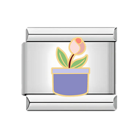 Flower Pot