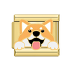 Shiba Inu