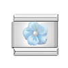 Baby Blue Flower